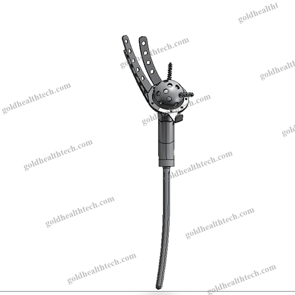 Primary Hip Prosthesis