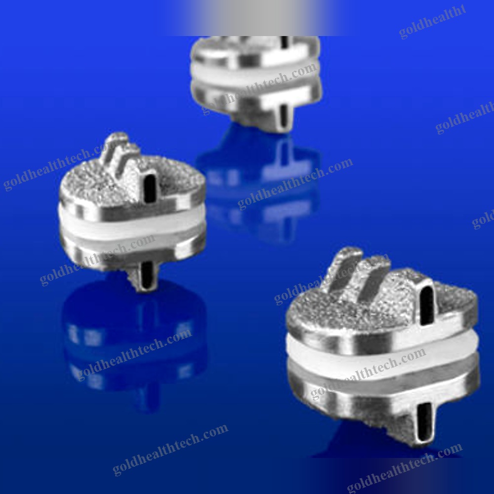 Cervical Disc Prosthesis