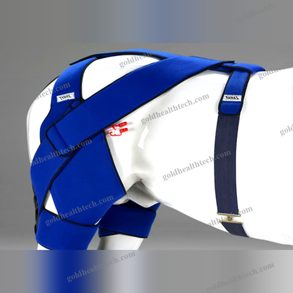 Equine Veterinary Orthosis