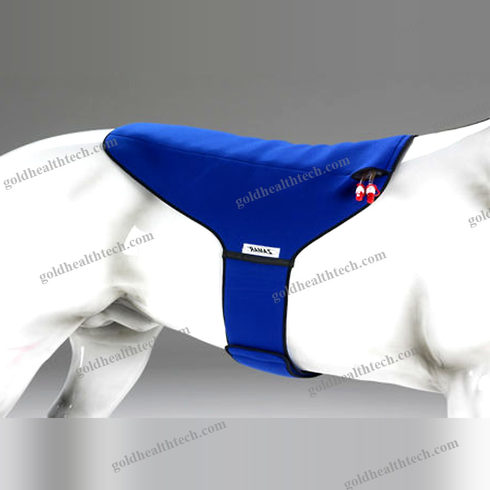 Equine Veterinary Orthosis