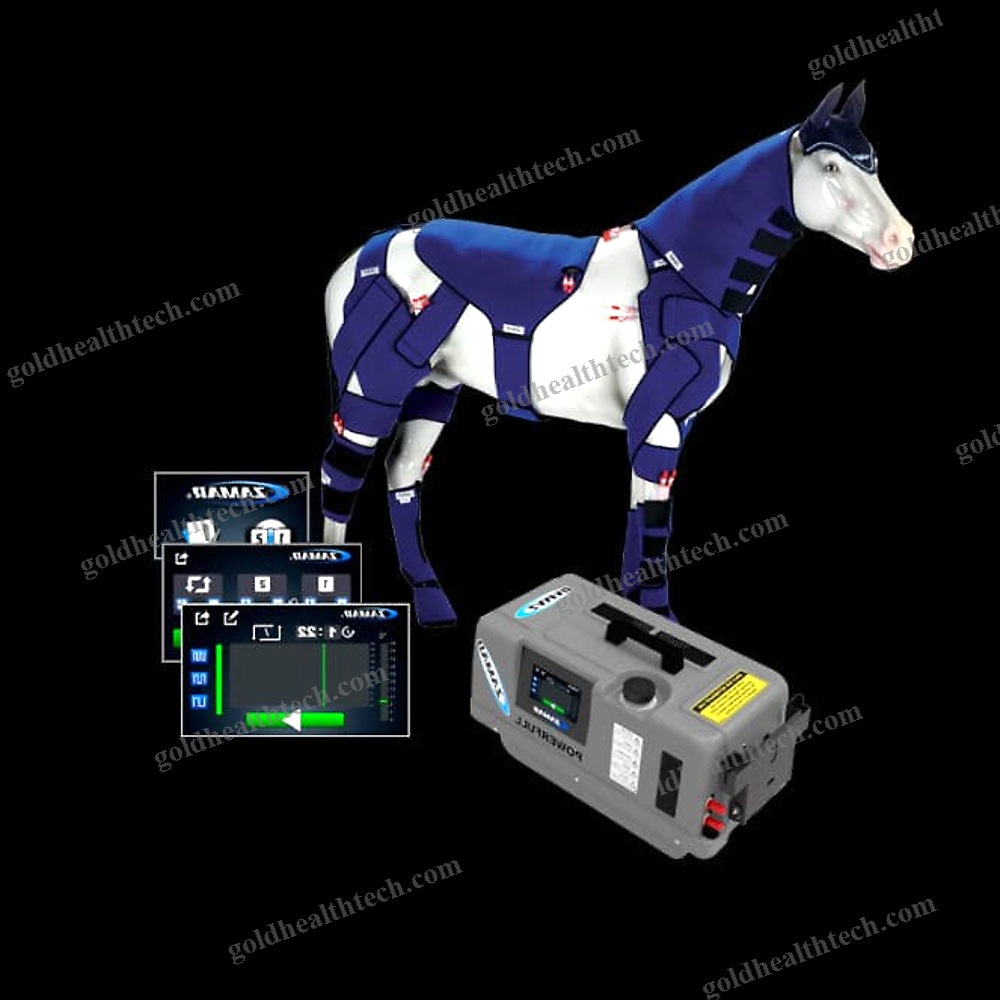 Equine Veterinary Orthosis