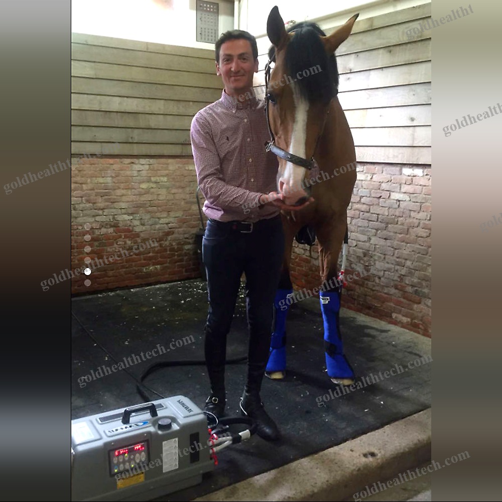Equine Veterinary Orthosis