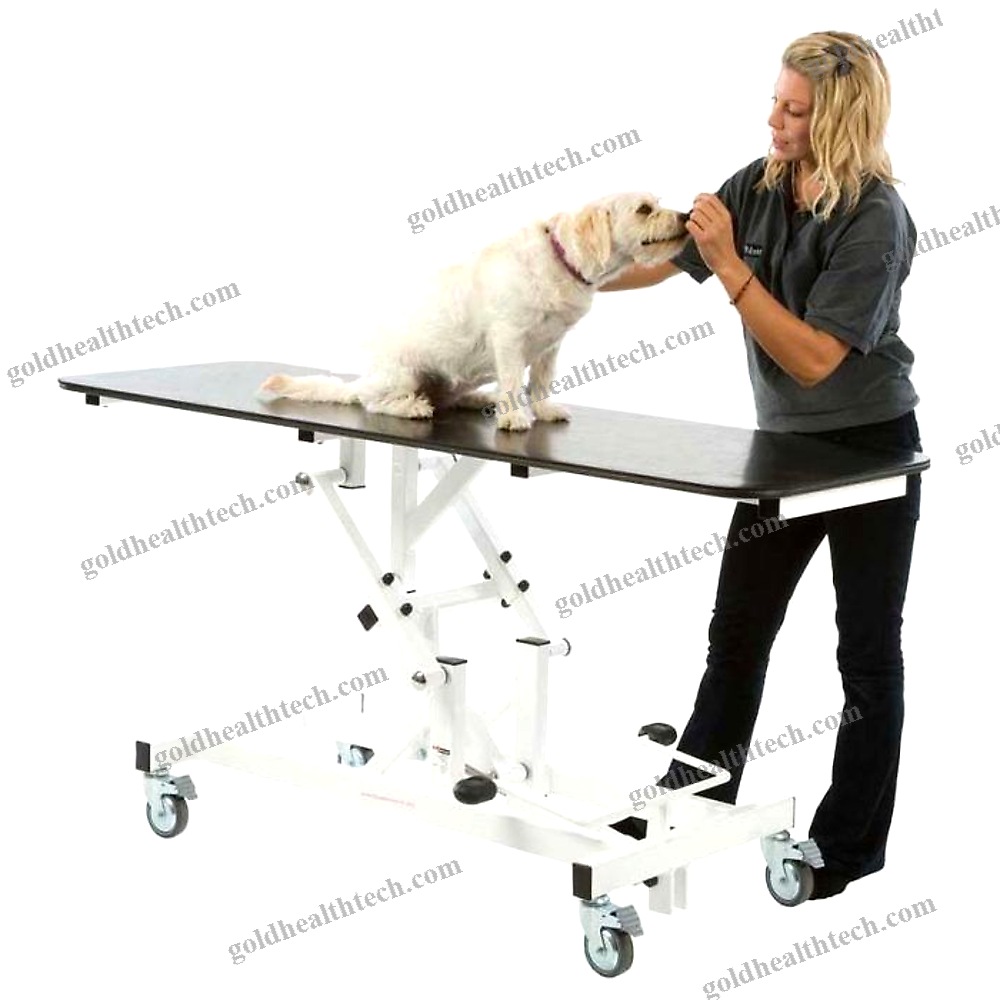 Veterinary Examination Table