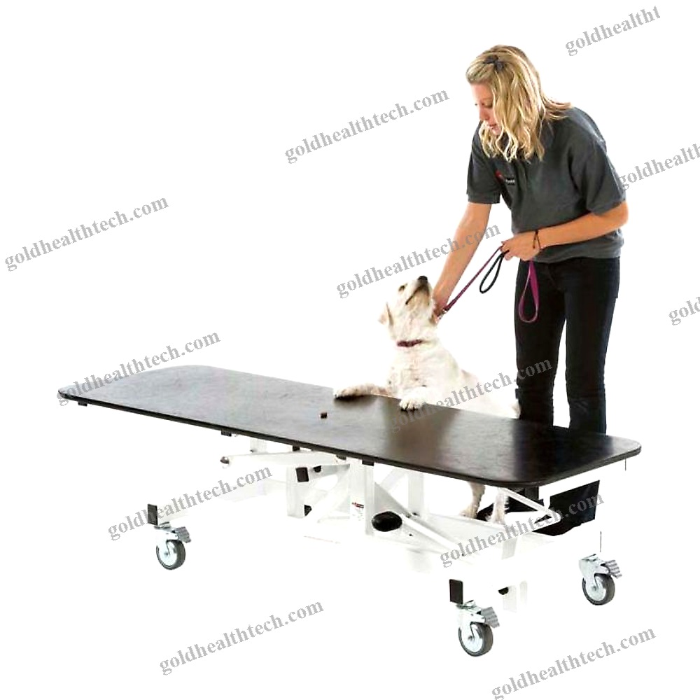 Veterinary Examination Table