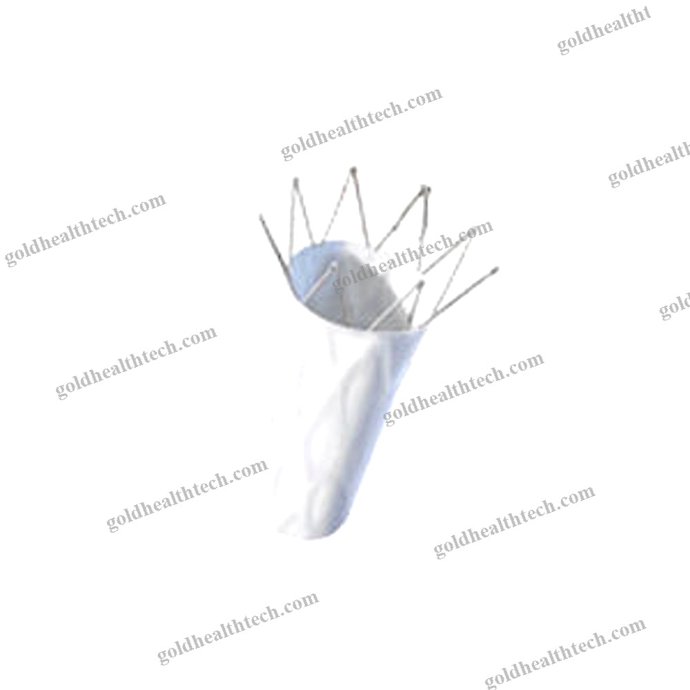 Abdominal Aorta Stent Graft