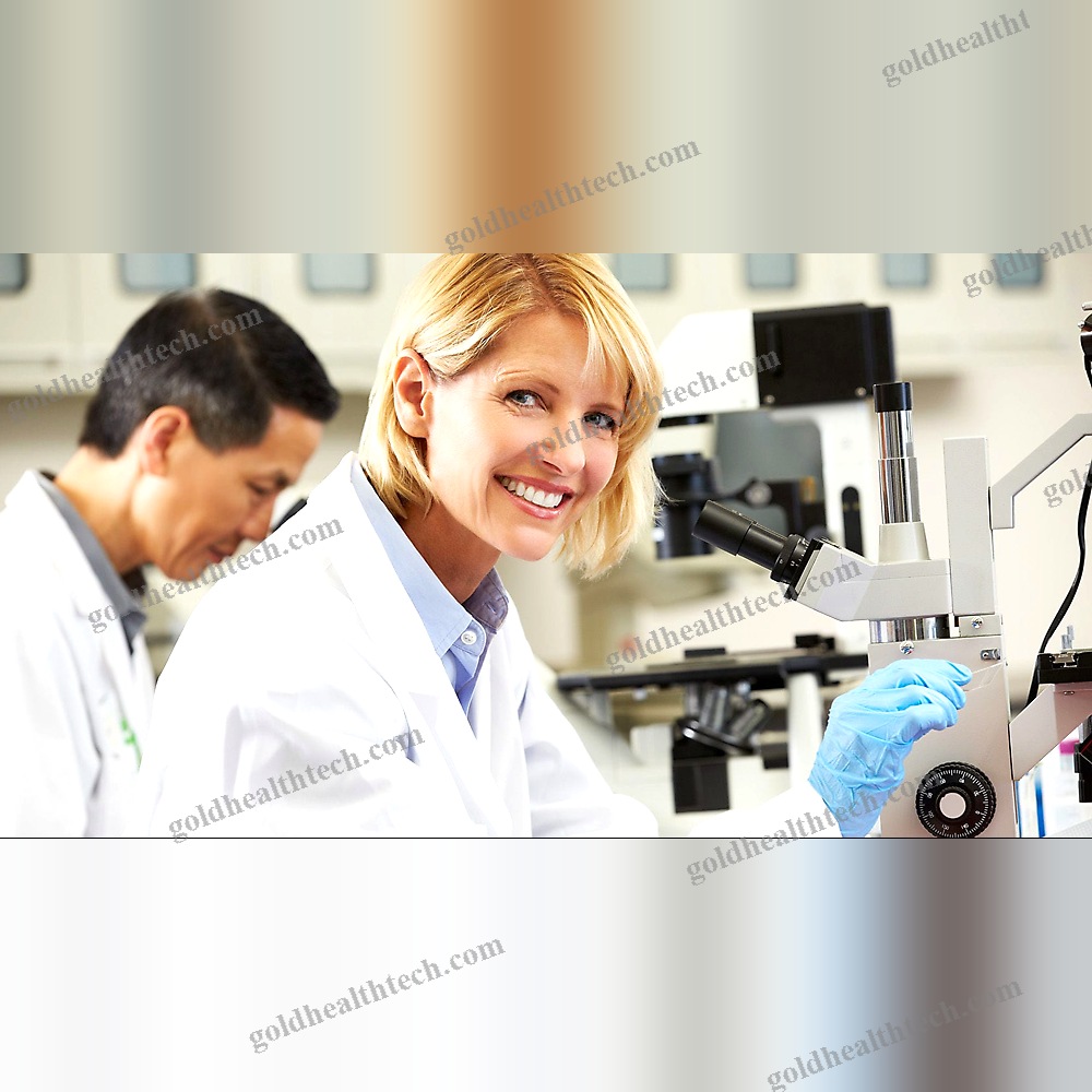 Management Information System