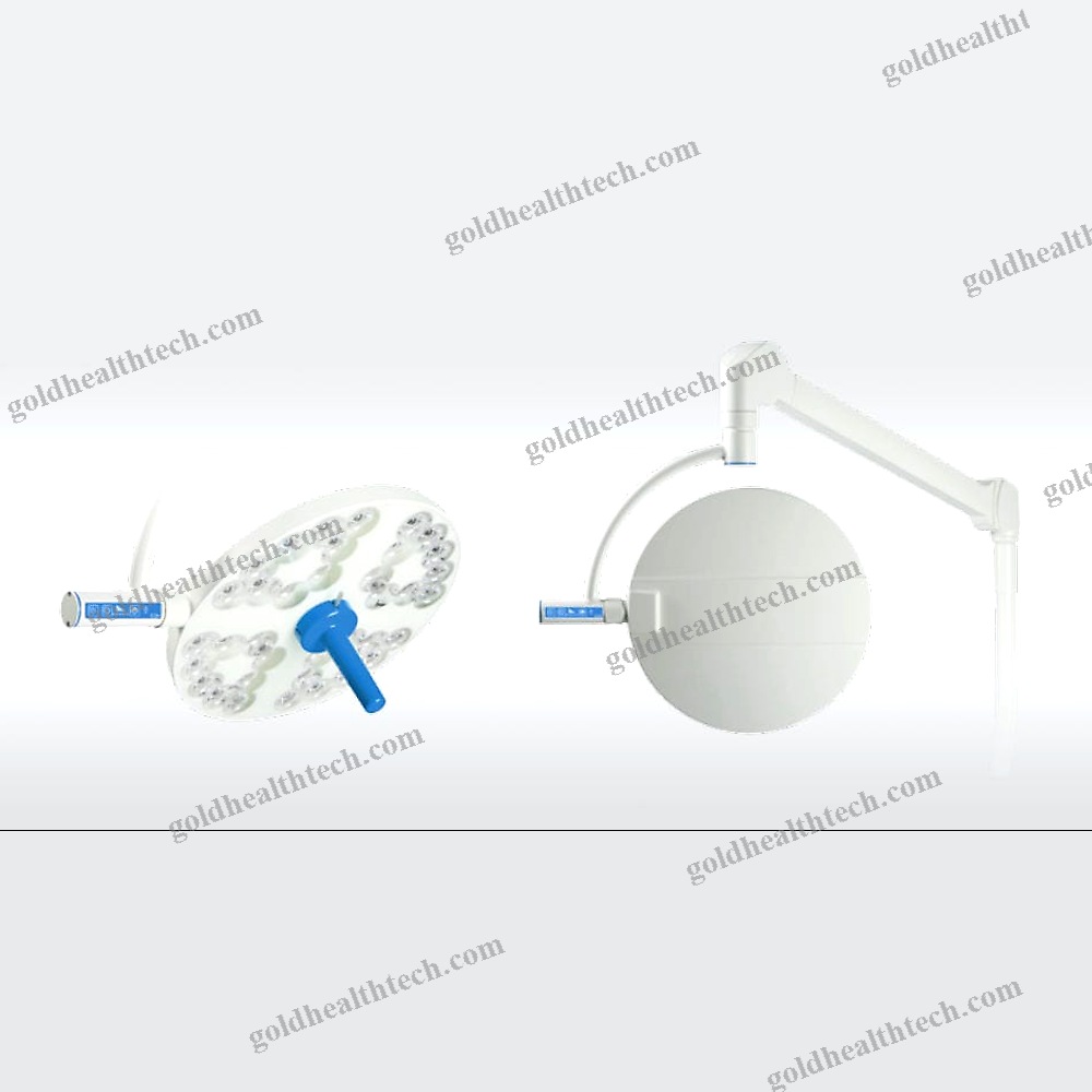 Veterinary Examination Lamp