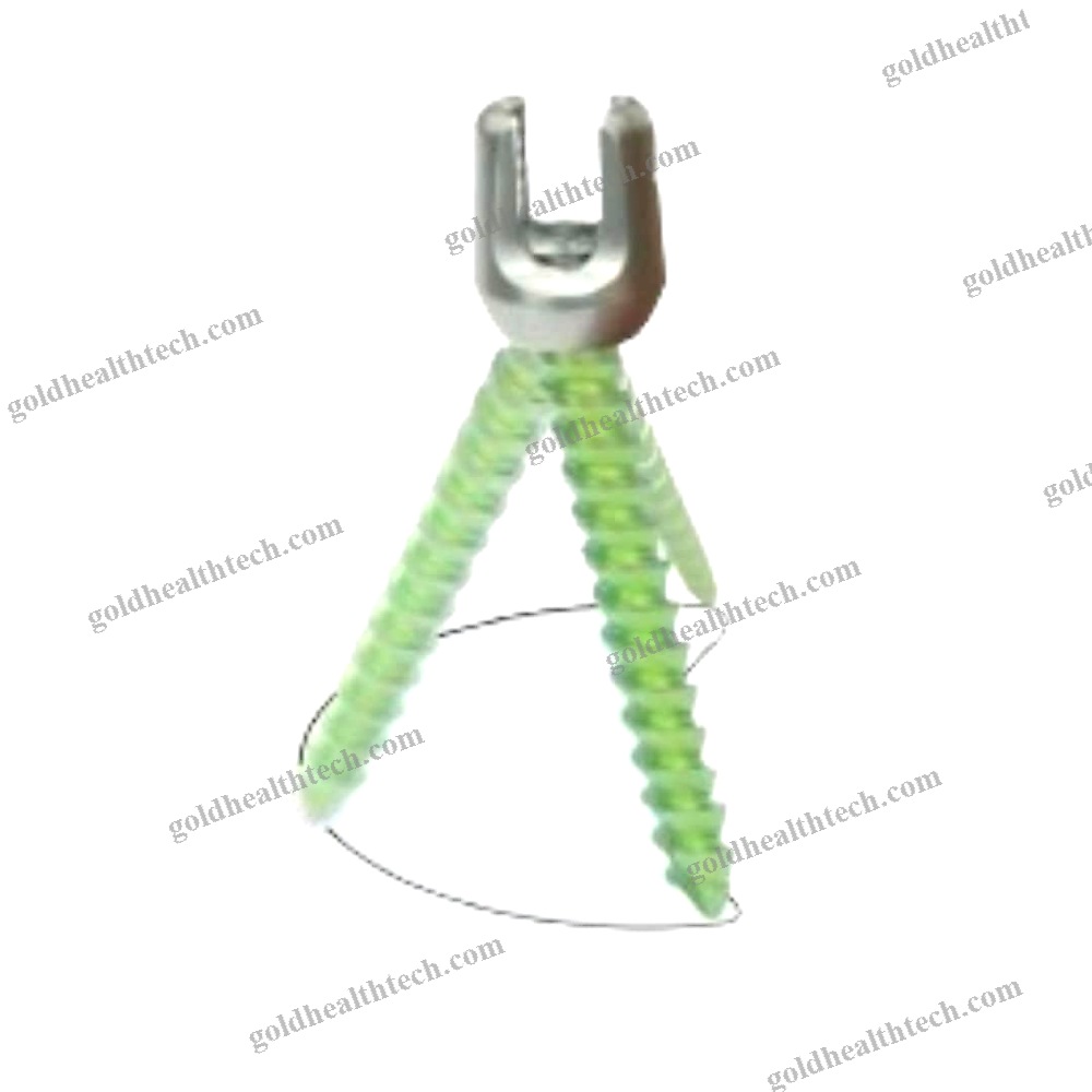 Polyaxial Pedicle Screw