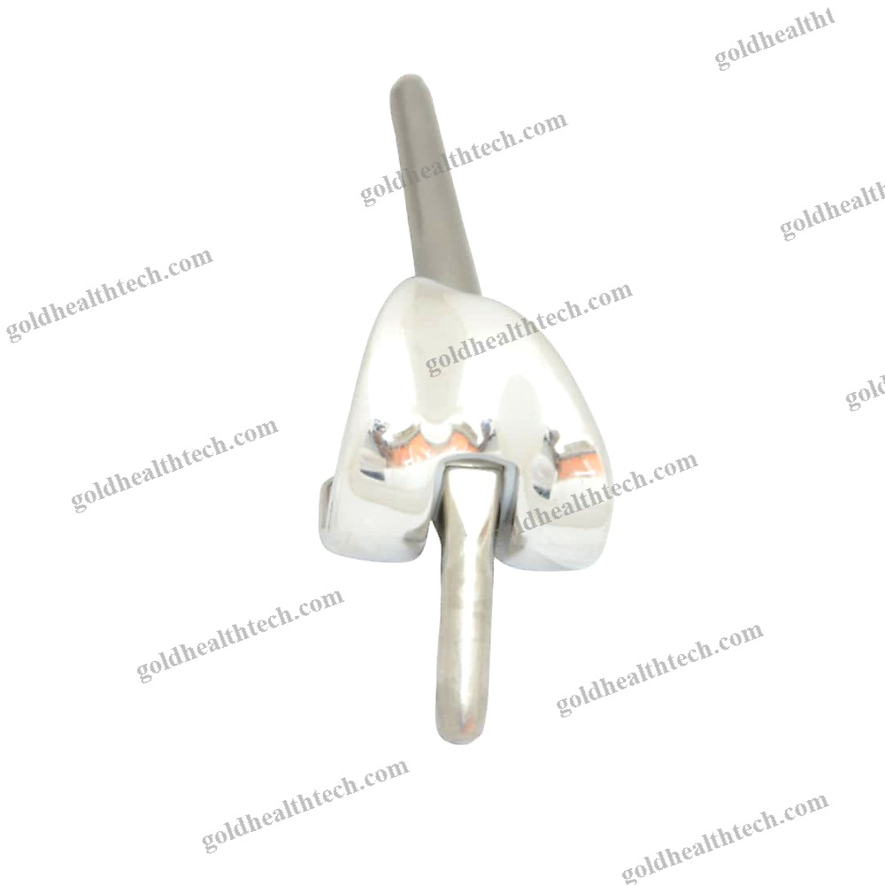 Total Knee Prosthesis