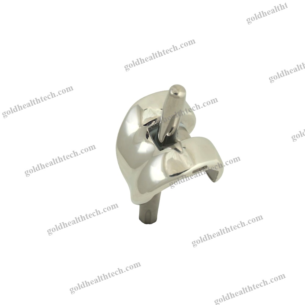 Total Knee Prosthesis