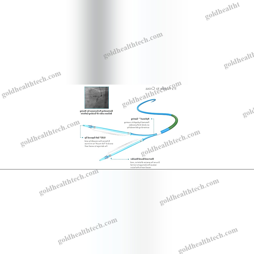 Ptca Catheter