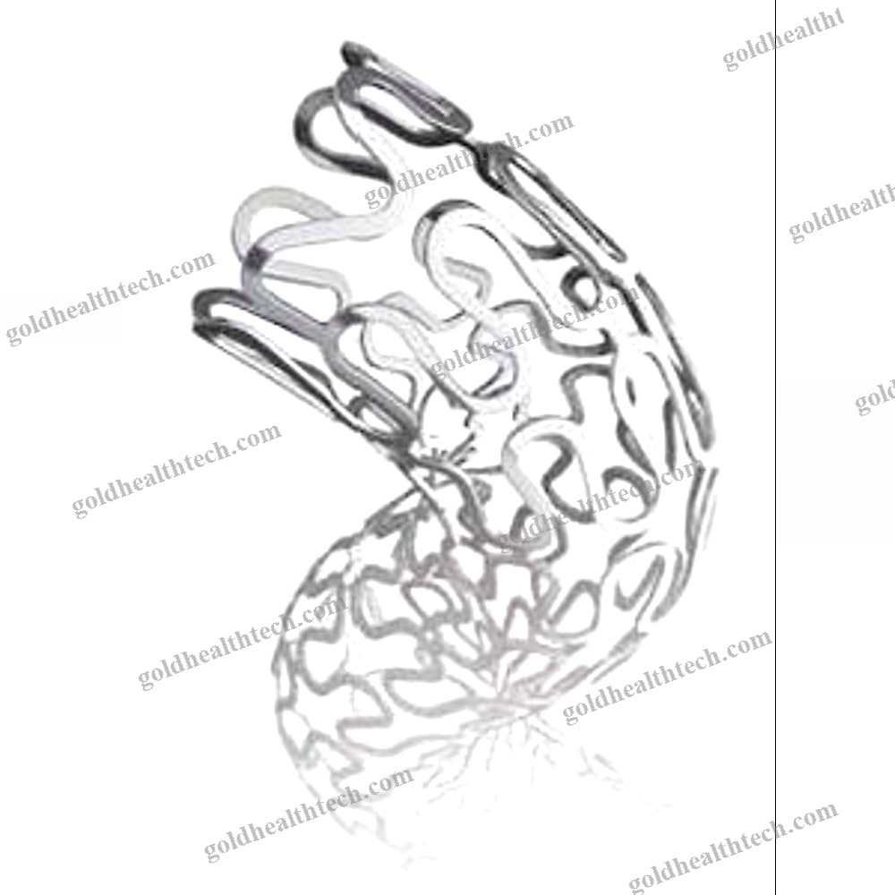 Coronary Stent