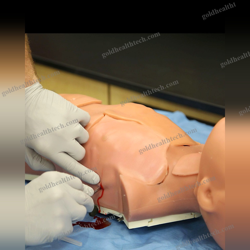 Surgical Patient Simulator