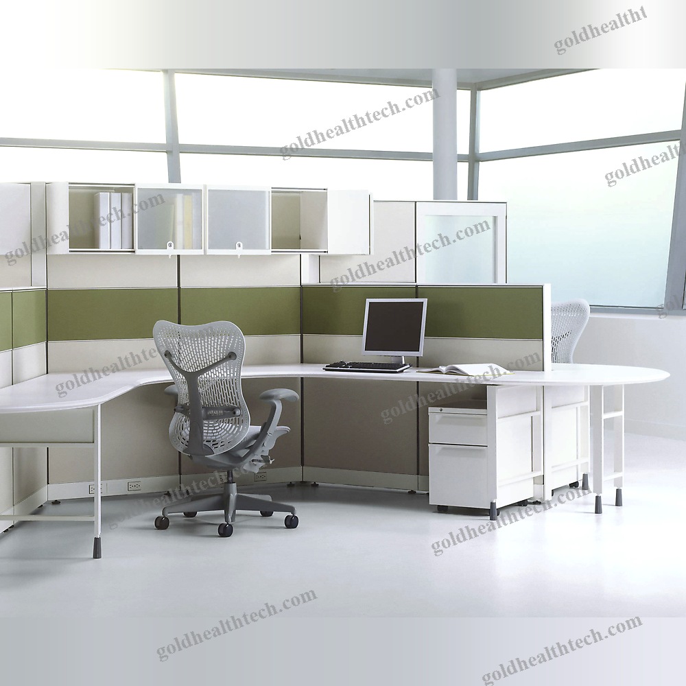 Workstation Desk