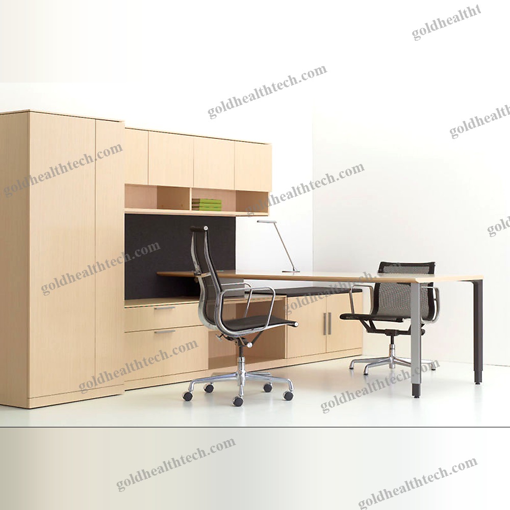 Workstation Desk