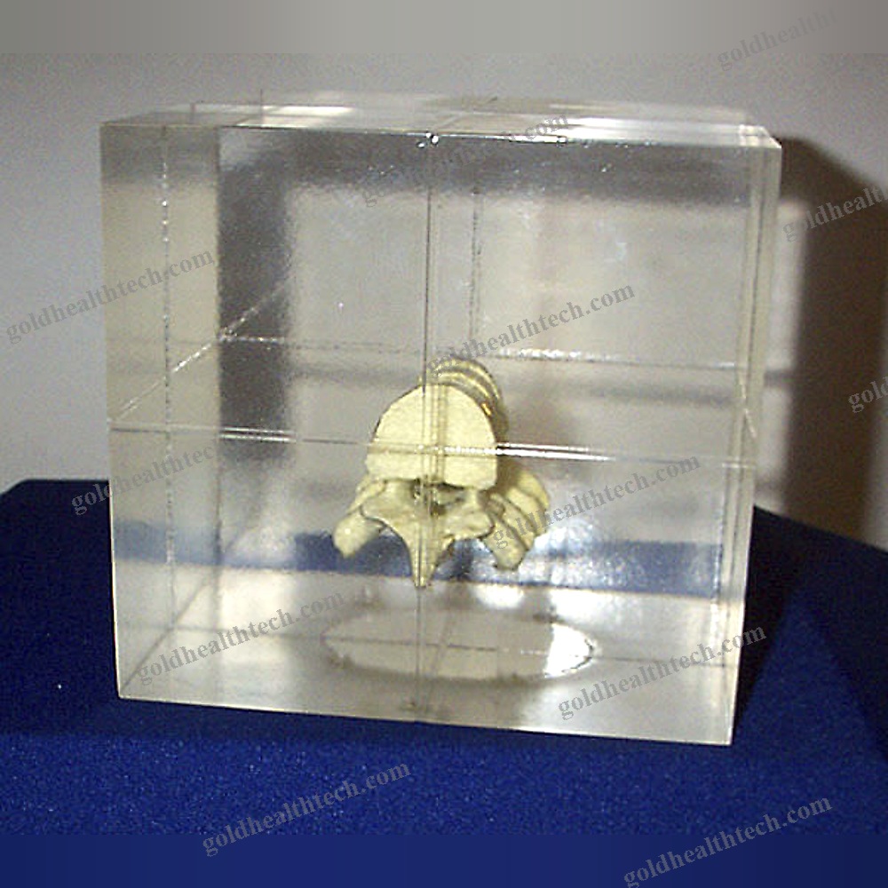 Radiography Test Phantom