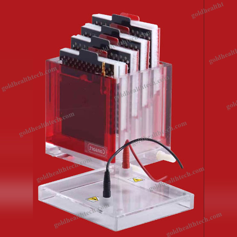 Electrophoresis Power Supply