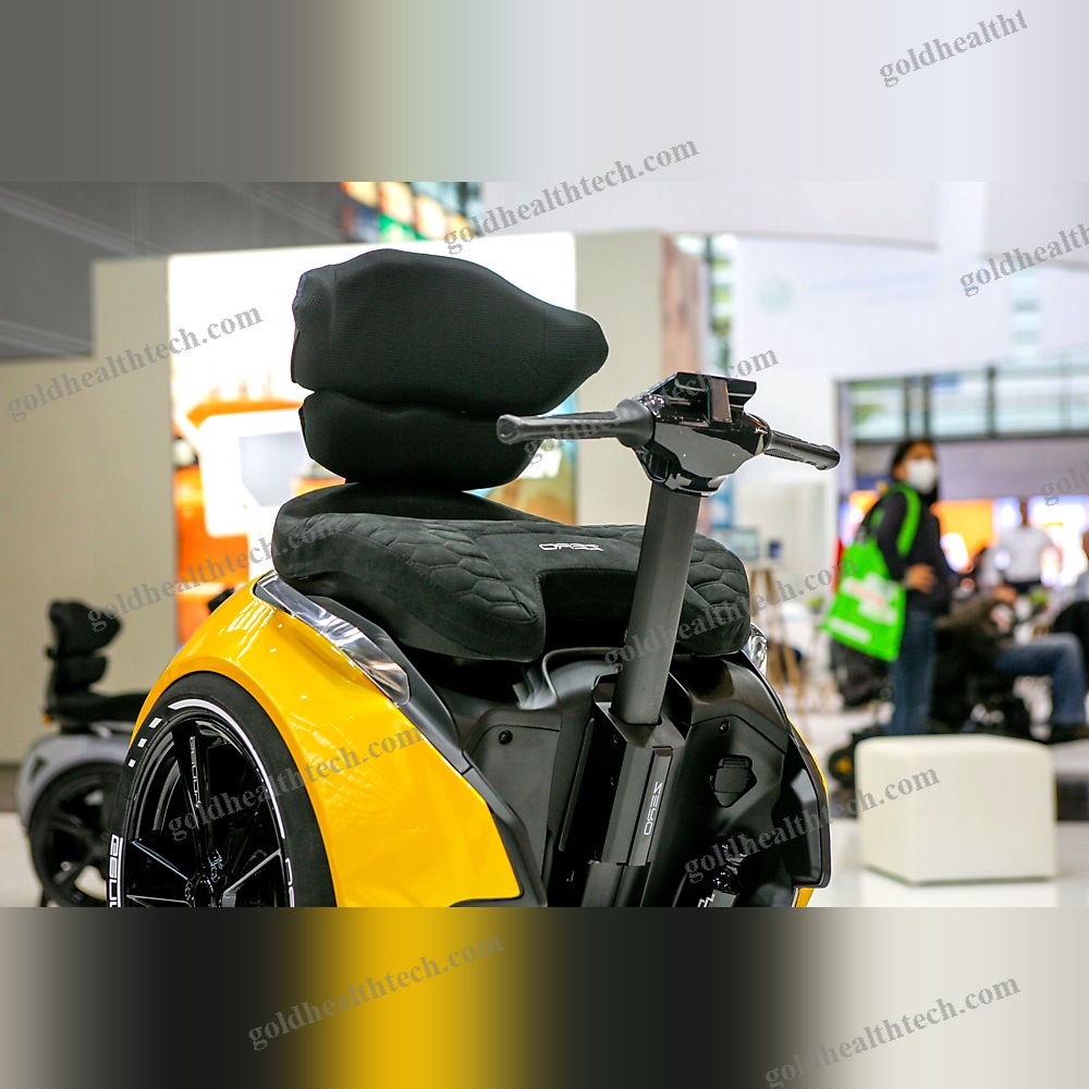 Seated Gyropode