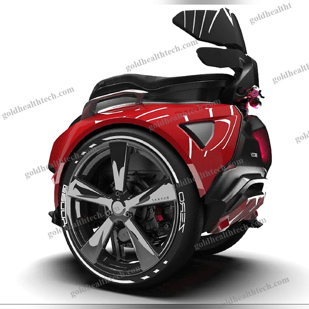 Seated Gyropode