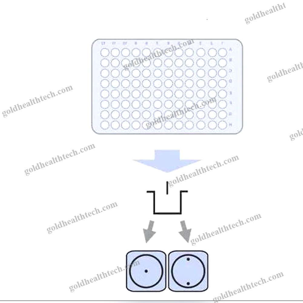 Automated Microplate Washer