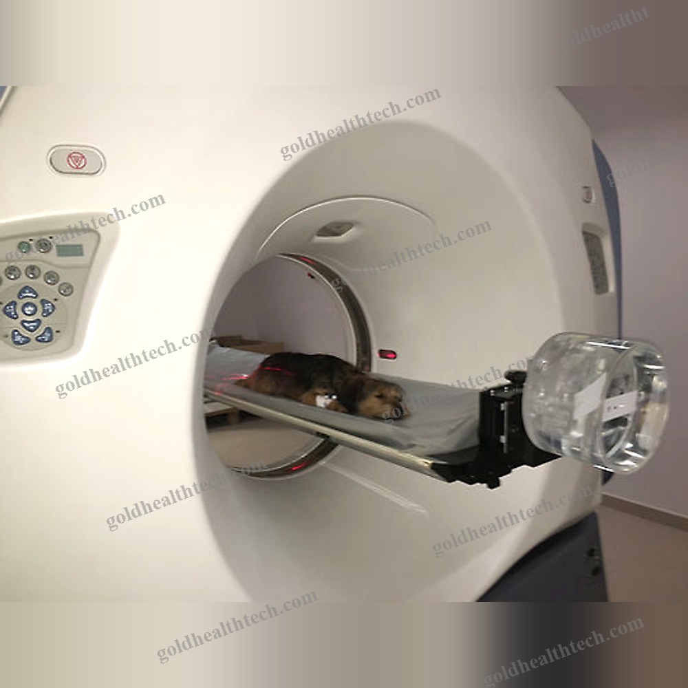 Veterinary Ct Scanner