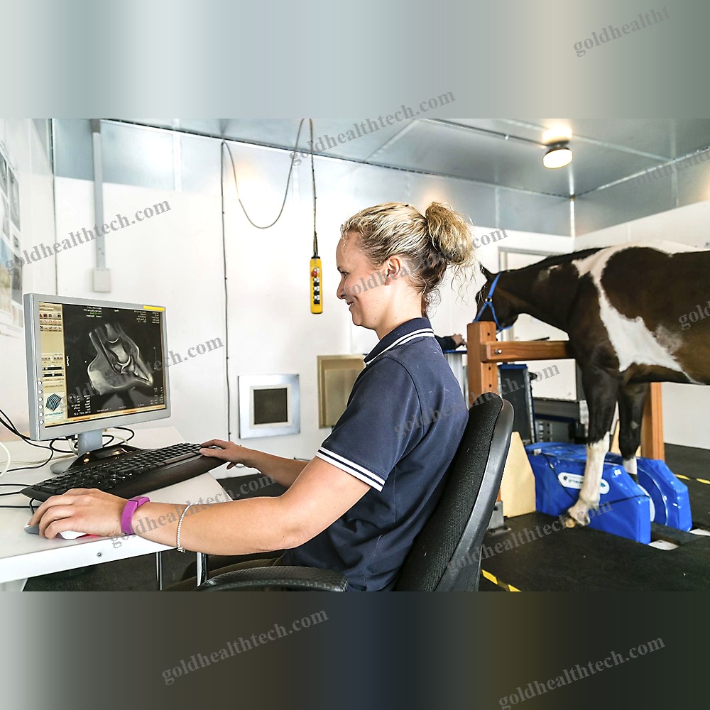 Veterinary Mri System