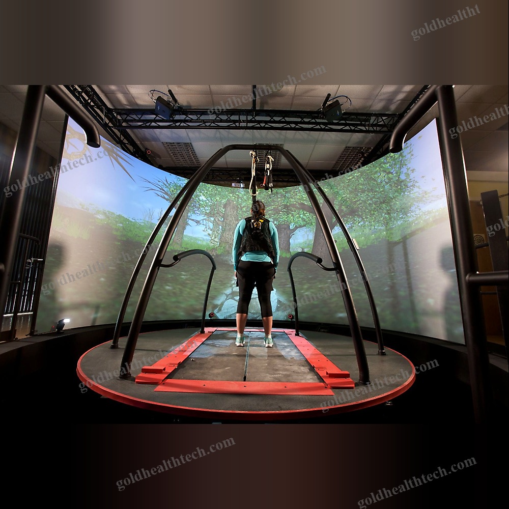 Gait Rehabilitation System