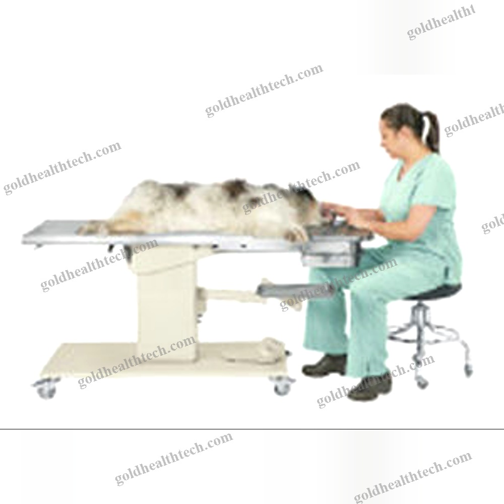 Veterinary Examination Table