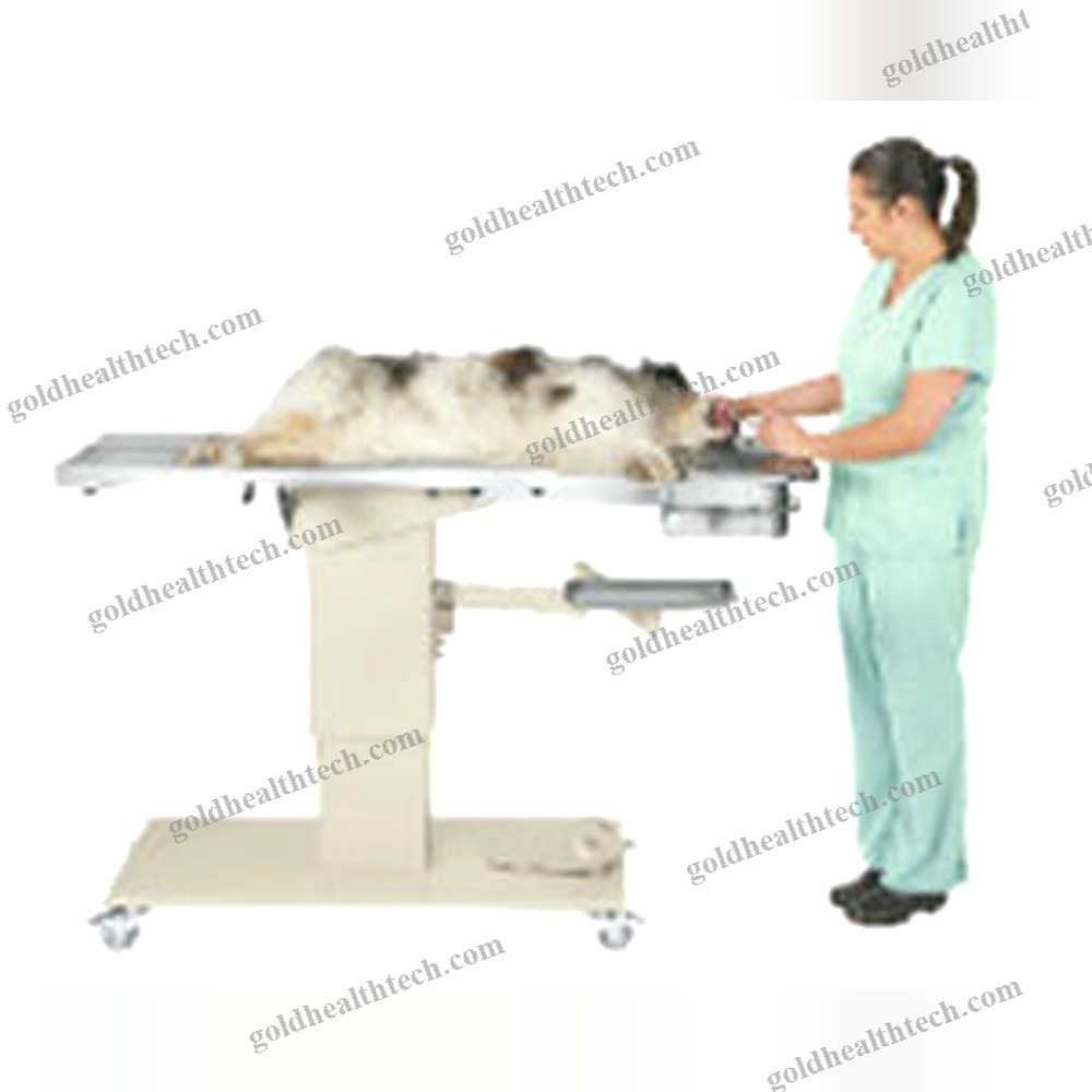 Veterinary Examination Table