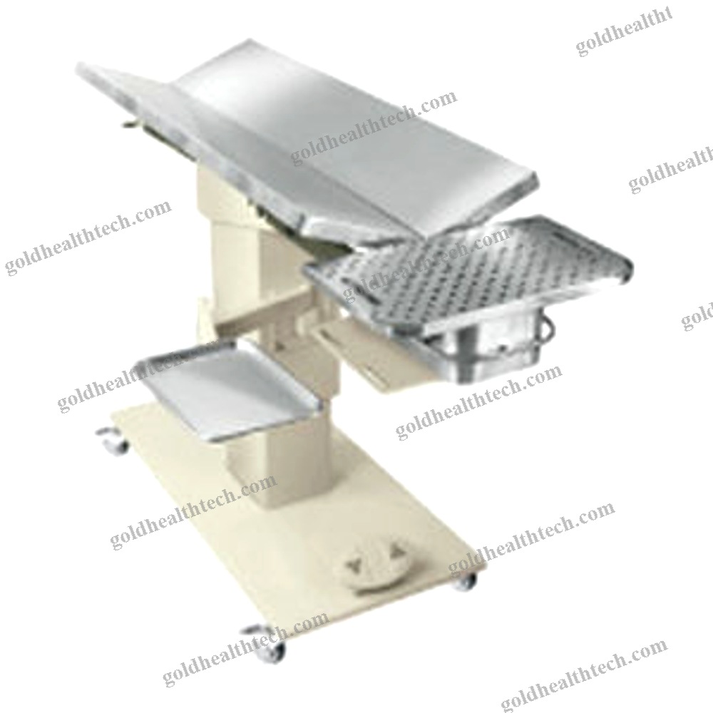 Veterinary Examination Table