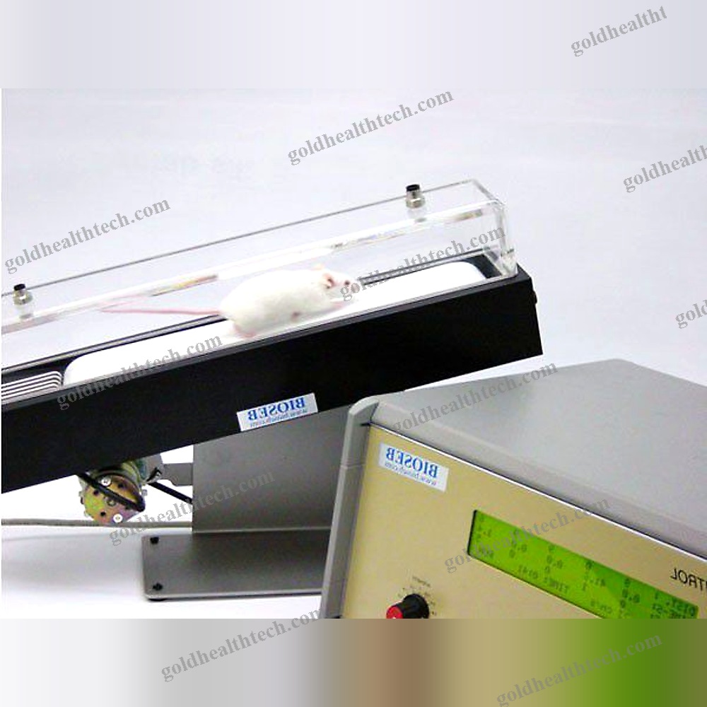 Animal Research Veterinary Treadmill