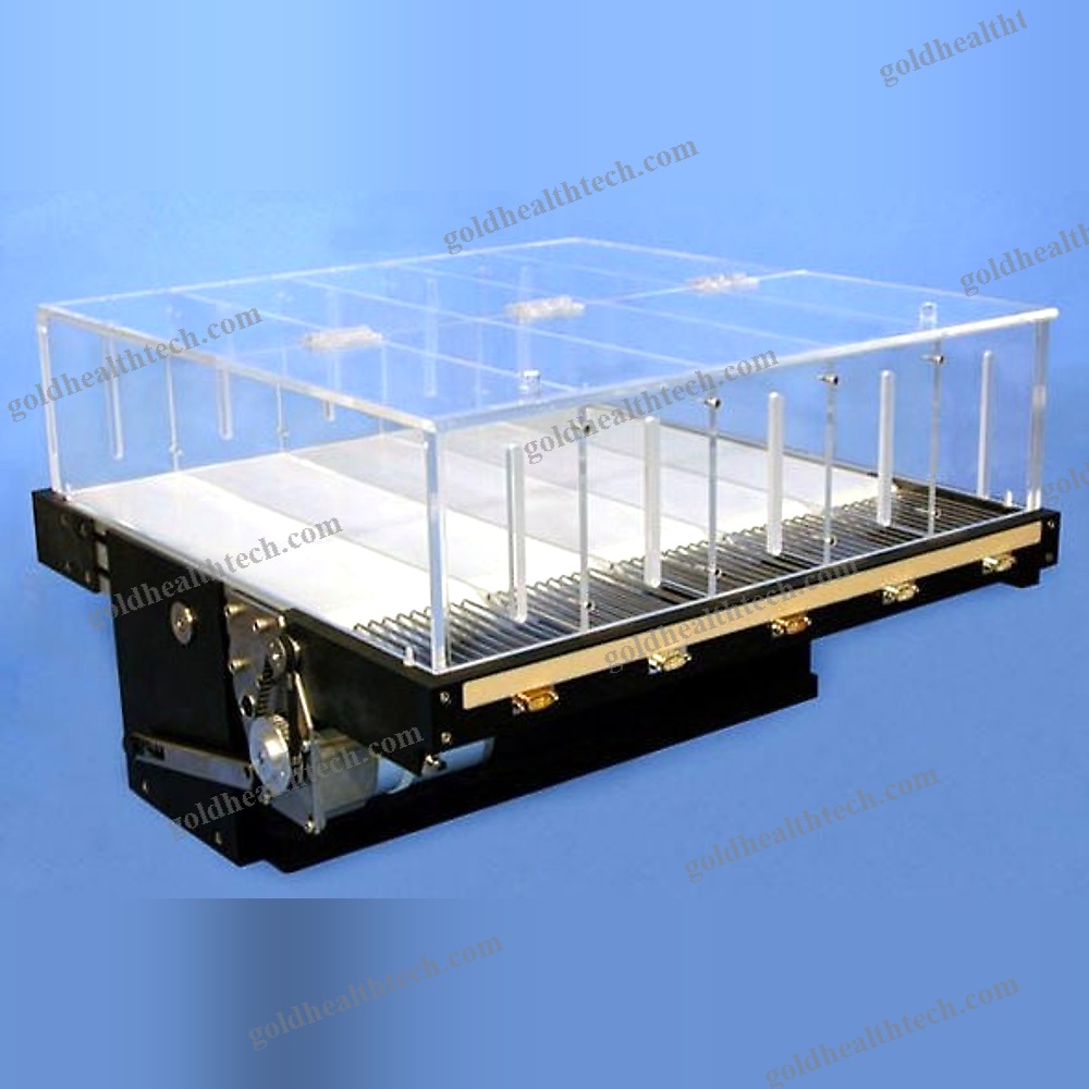Animal Research Veterinary Treadmill