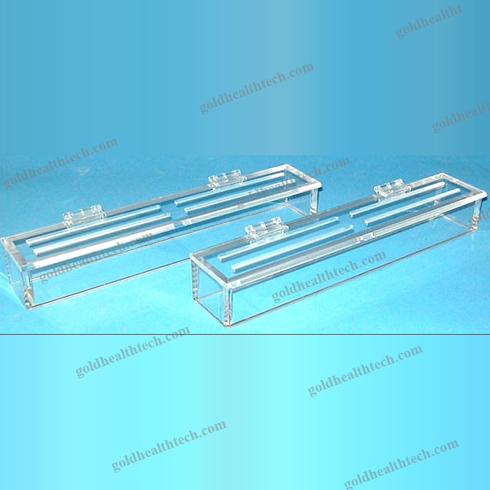 Animal Research Veterinary Treadmill