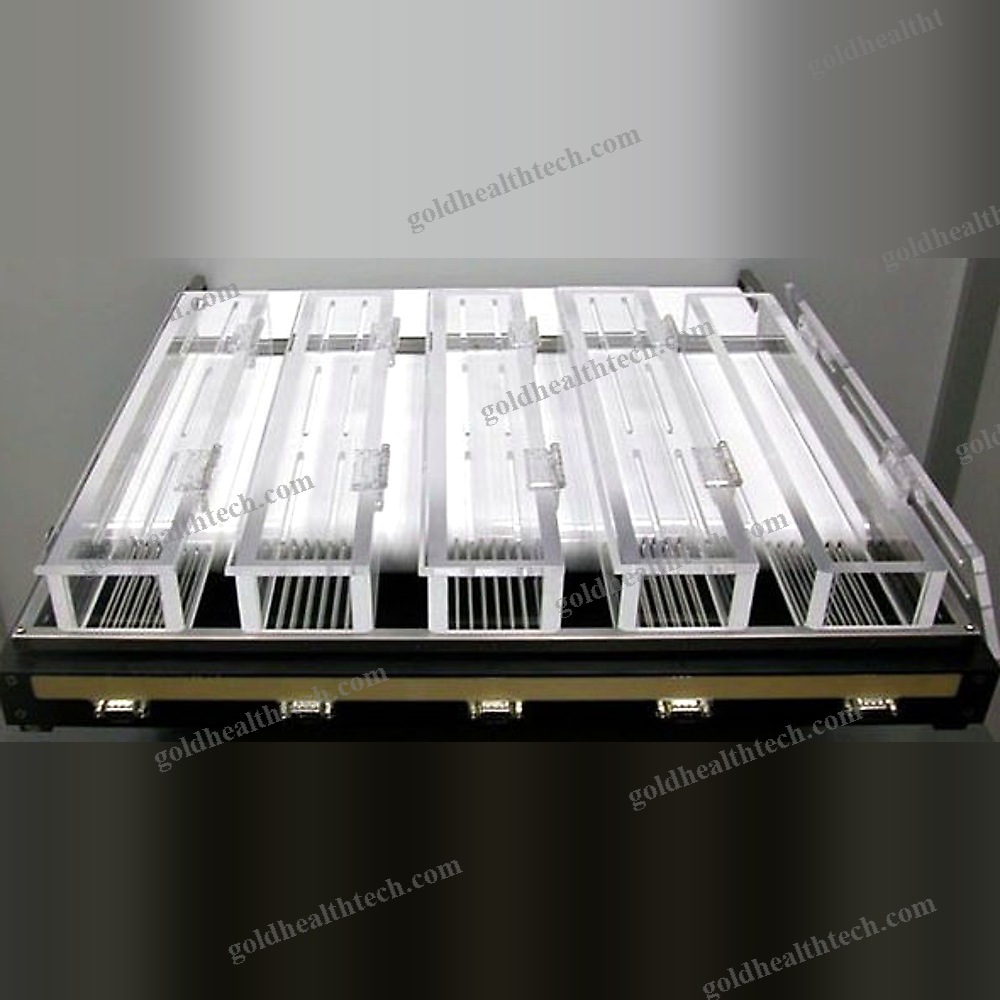 Animal Research Veterinary Treadmill