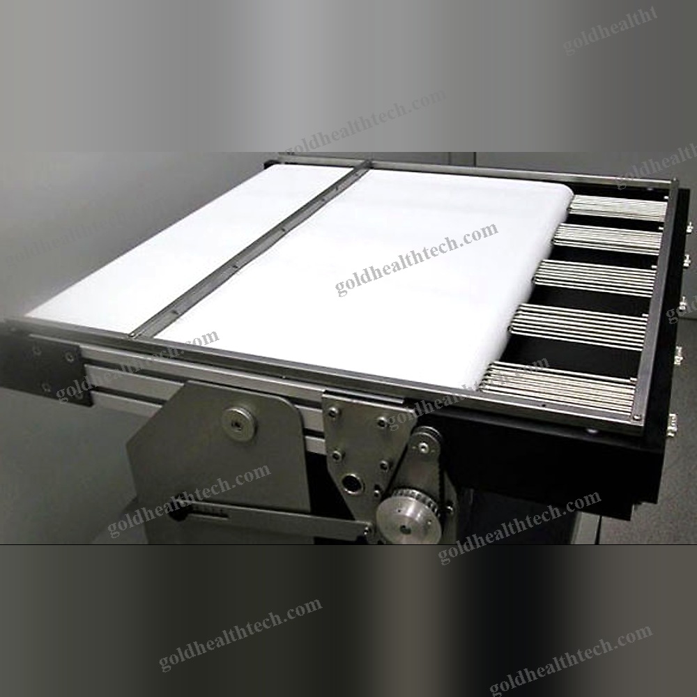 Animal Research Veterinary Treadmill