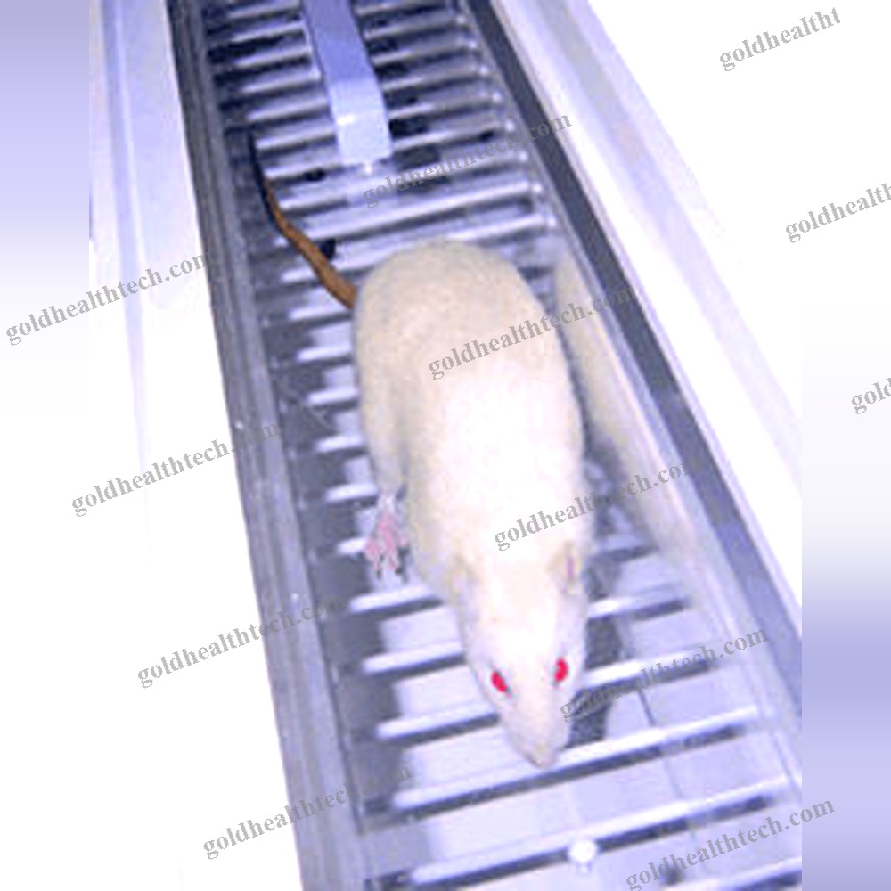 Rat Operant Conditioning System