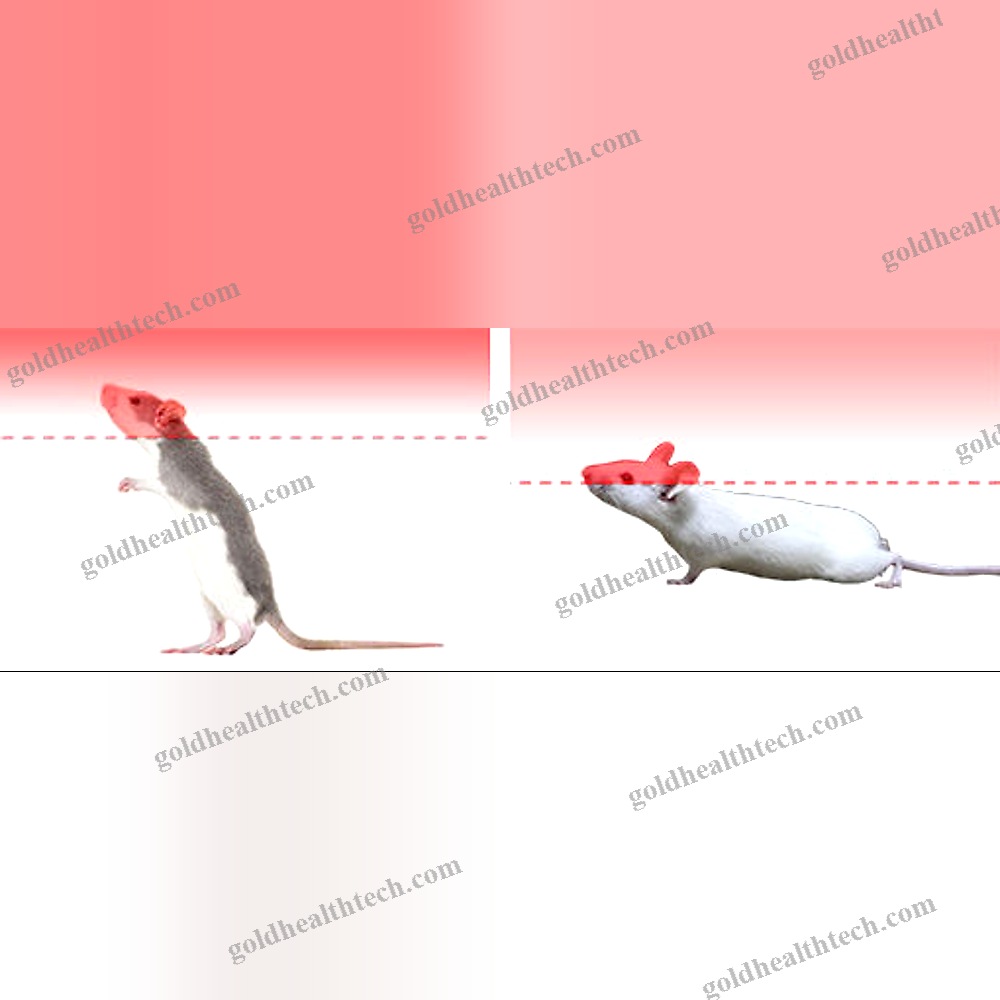 Animal Research Activity Monitor