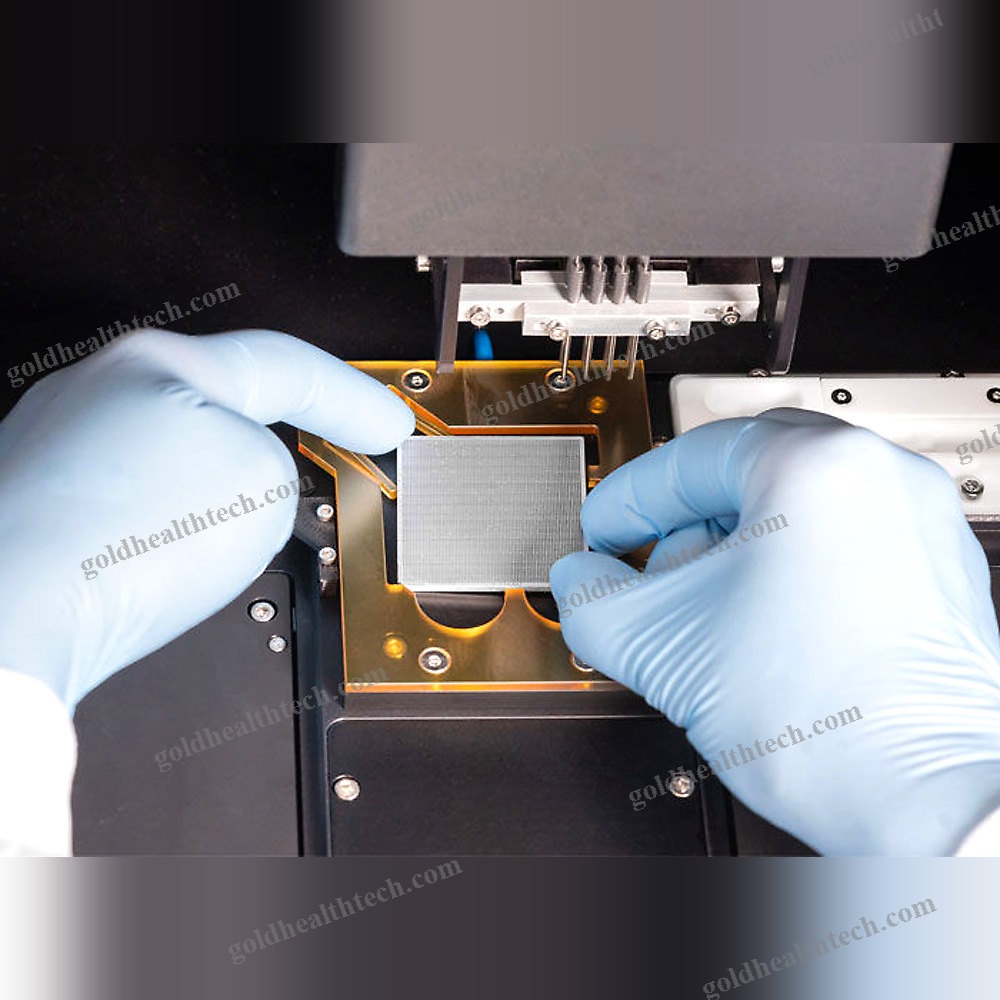 Real-Time Pcr System