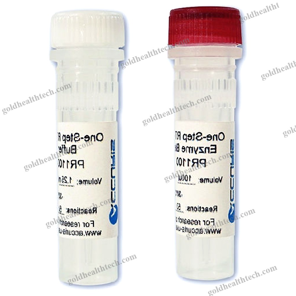 Reverse Transcriptase Reagent
