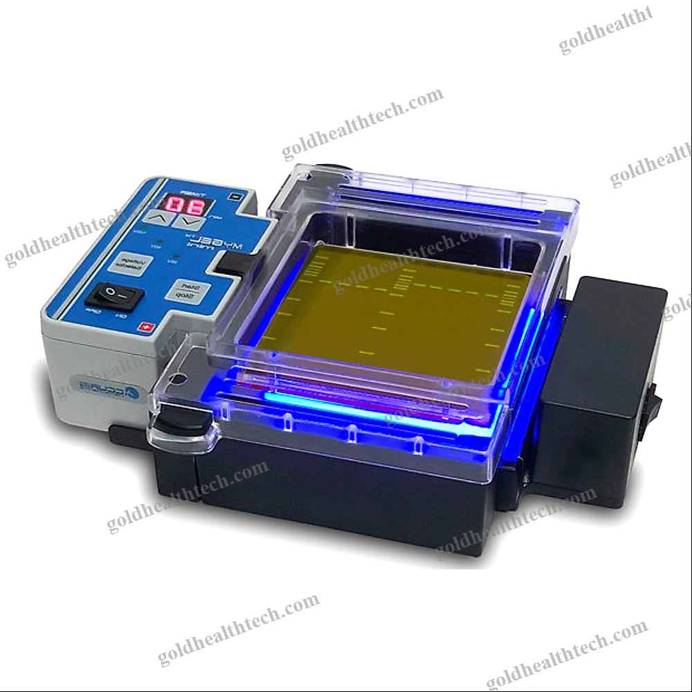 Dna Electrophoresis System