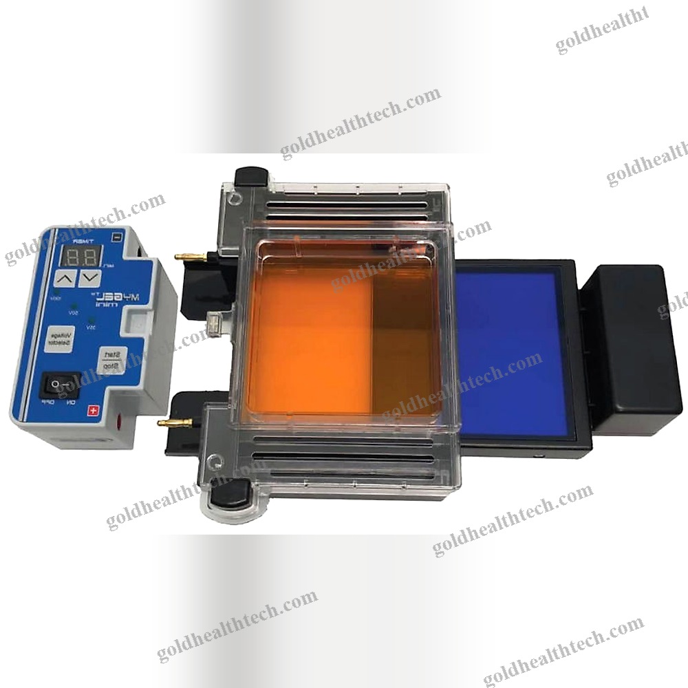 Dna Electrophoresis System