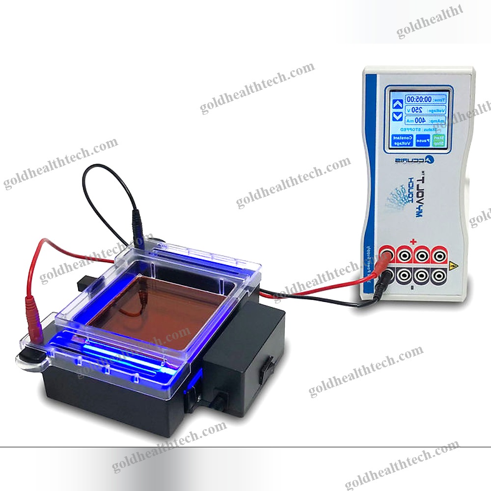Dna Electrophoresis System