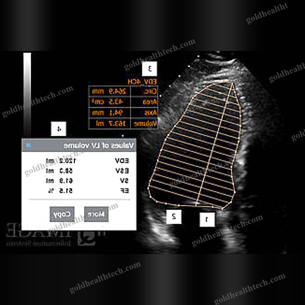 Clinical Software Module