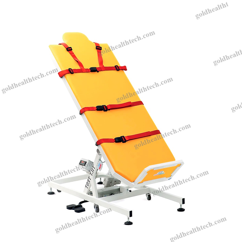 1 Section Tilt Table