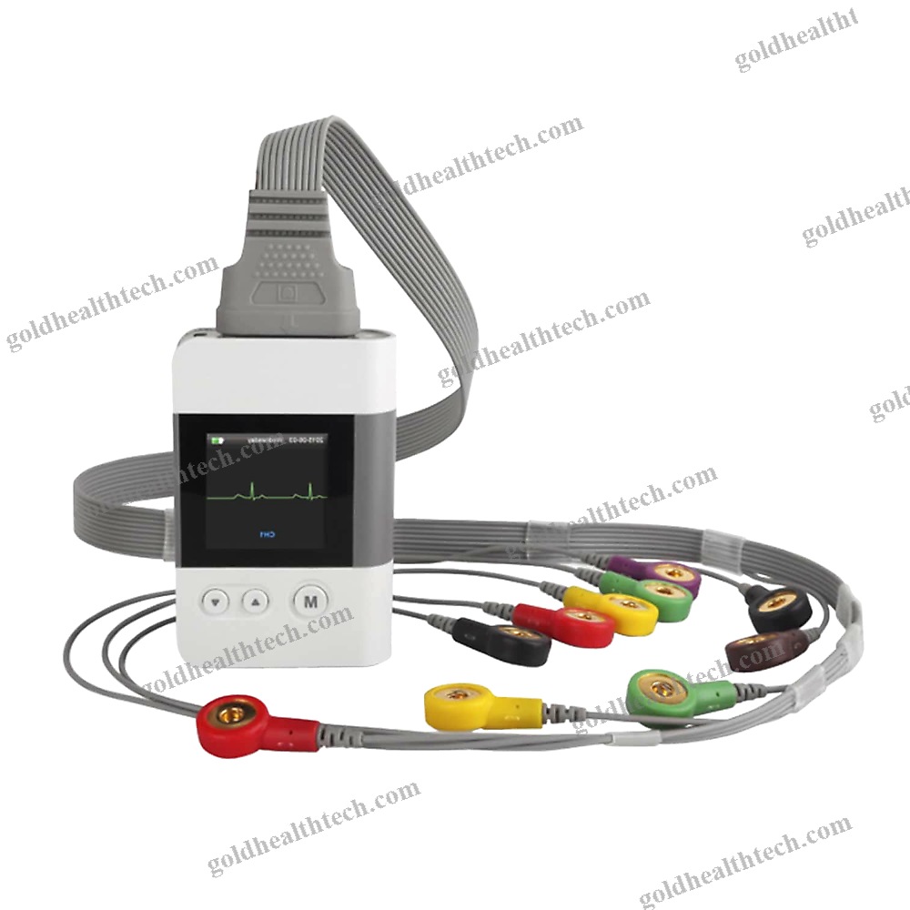12-Channel Holter Ecg