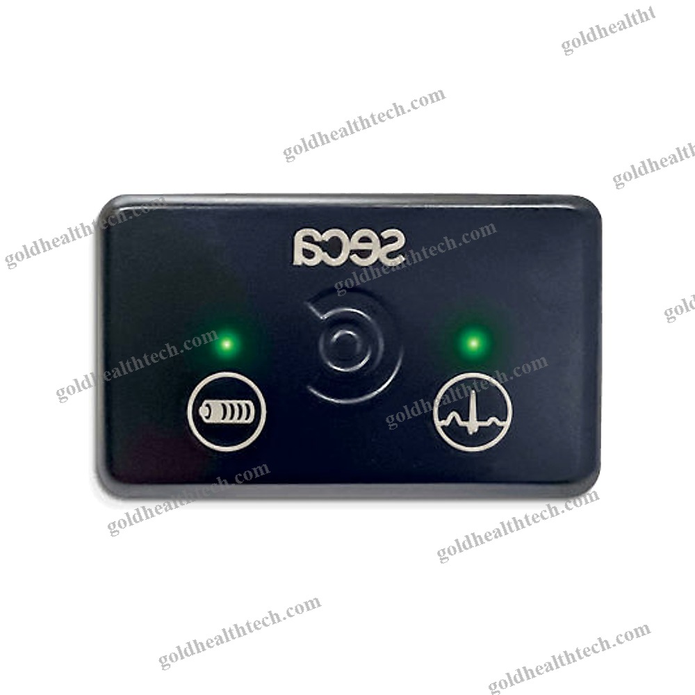 3-Channel Holter Ecg