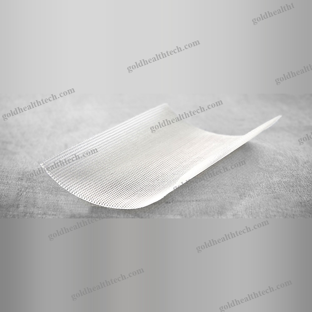 Abdominal Hernia Prosthesis