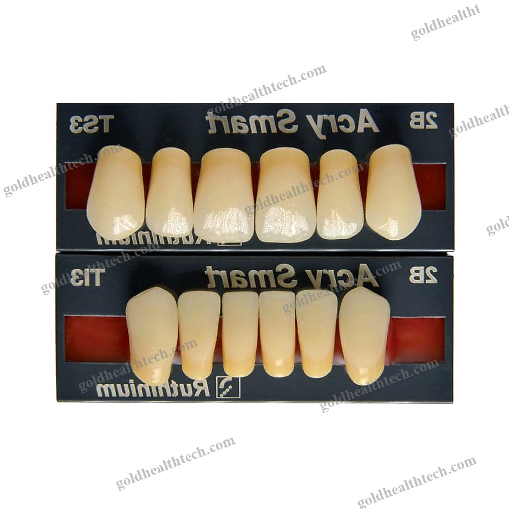 Acrylic Dental Prosthesis
