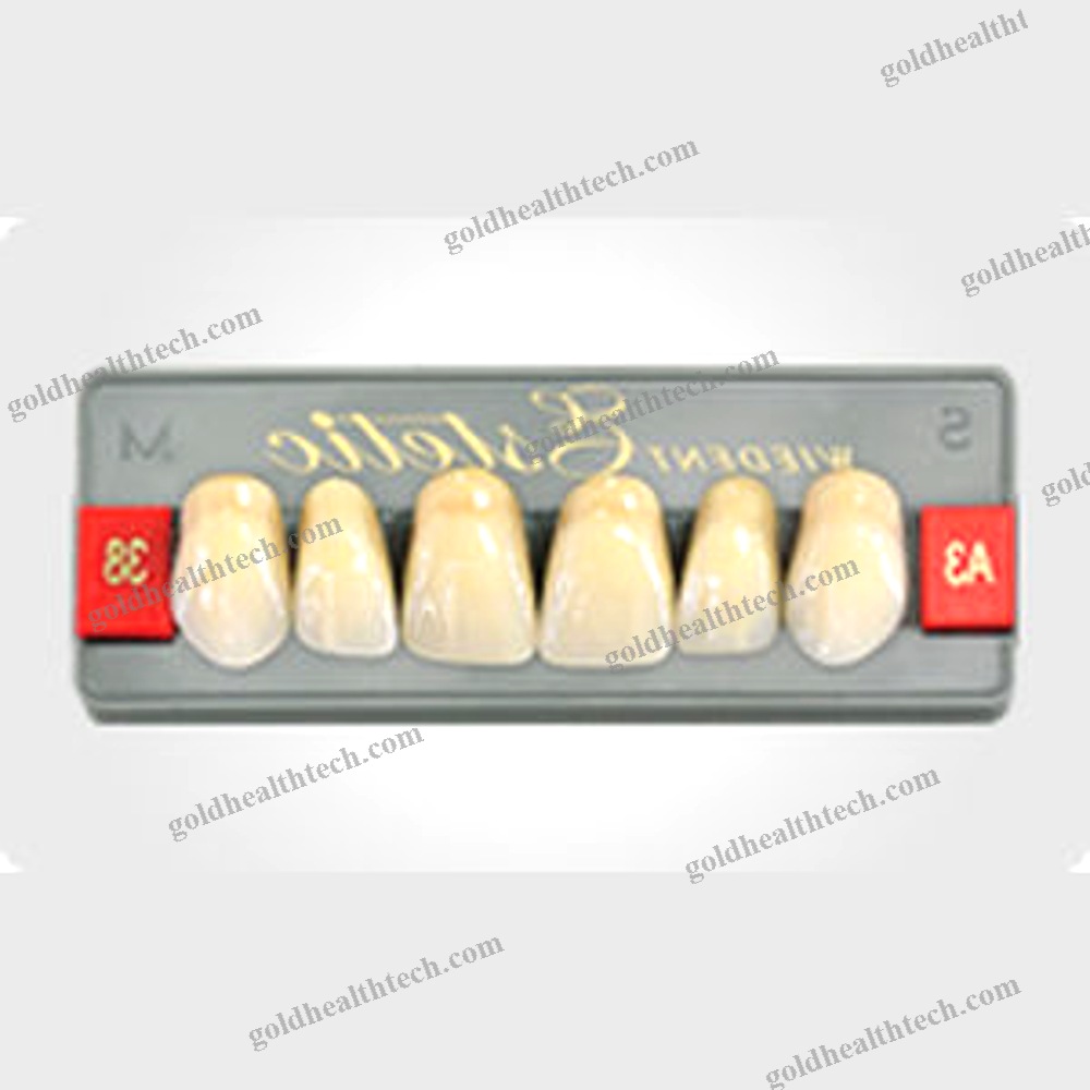 Acrylic Dental Prosthesis