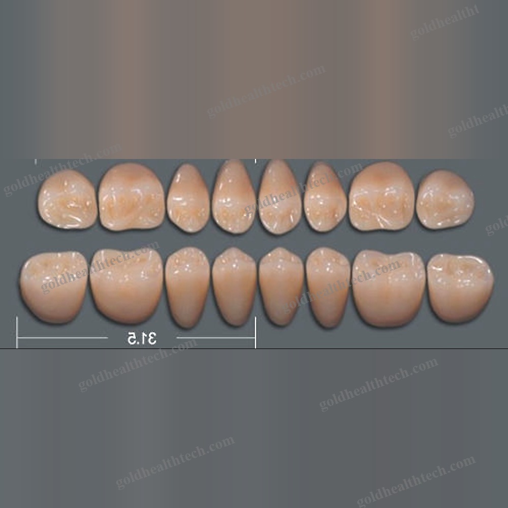 Acrylic Dental Prosthesis 1